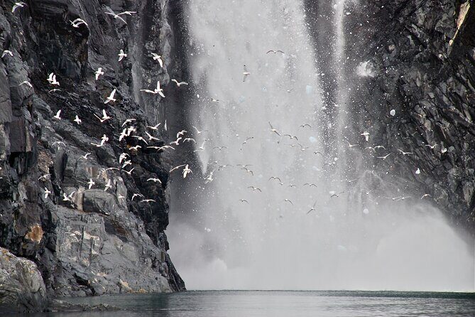 26 Glacier Tour, Self-Drive from Anchorage, AK - Book it or pass: my practical decision checklist