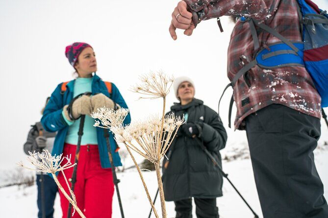 Advanced Snowshoeing Adventure - Key highlights for advanced snowshoeing in Chugach State Park
