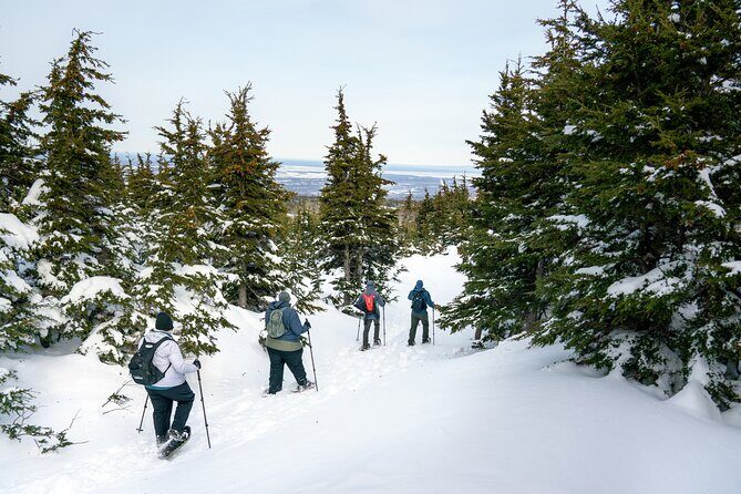 Advanced Snowshoeing Adventure - Chugach State Park and the Glen Alps: why this hike feels like Alaska