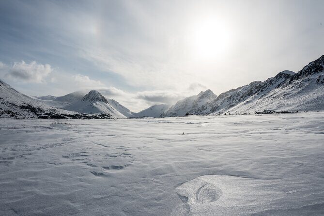 Advanced Snowshoeing Adventure - Wildlife spotting that actually works: tracks, moose chances, and snowshoe hare clues