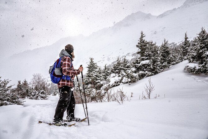 Advanced Snowshoeing Adventure - Fitness reality check: steep snow, stairs, and who this advanced tour suits