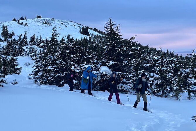 Advanced Snowshoeing Adventure - Price and value: what $238 really buys you in Anchorage