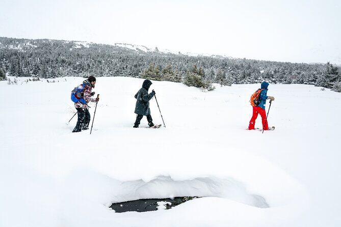 Advanced Snowshoeing Adventure - Safety, weather, and how to set yourself up for a great day