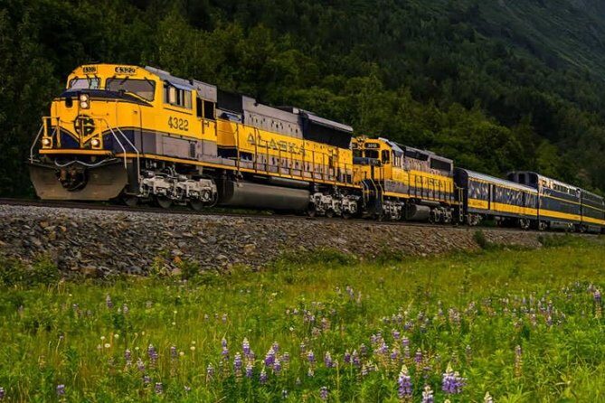 Alaska Railroad Anchorage to Denali One Way - Anchorage to Denali on Rail: Why This One-Way Day Just Makes Sense