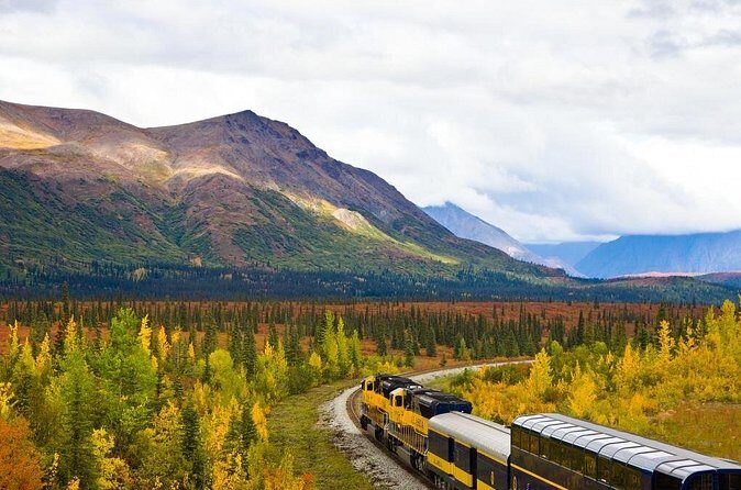 Alaska Railroad Anchorage to Denali One Way - Arrival at Denali at 3:40 pm: Turning Train Time into Park Time
