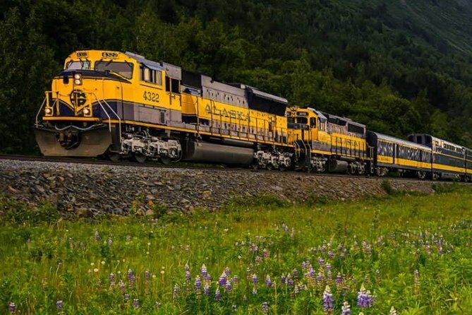 Alaska Railroad Anchorage to Seward One Way - The Scenery Route: Turnagain Arm and Coastal Backcountry Views