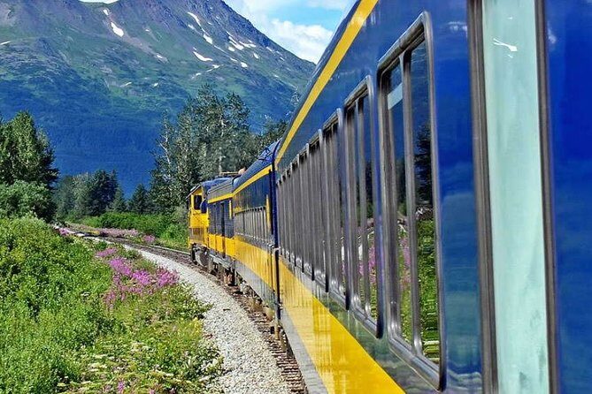 Alaska Railroad Anchorage to Seward One Way - Wildlife Moments: When the Train Slows Down for a Moose or Eagle