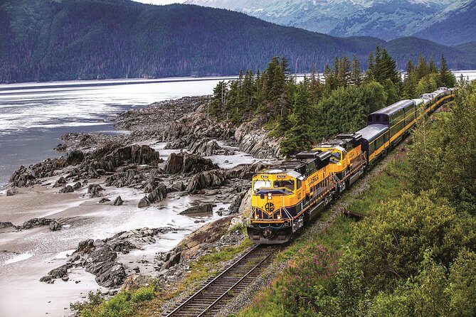 Alaska Railroad Anchorage to Seward Round-Trip Same Day Return - Key Things to Know Before You Go
