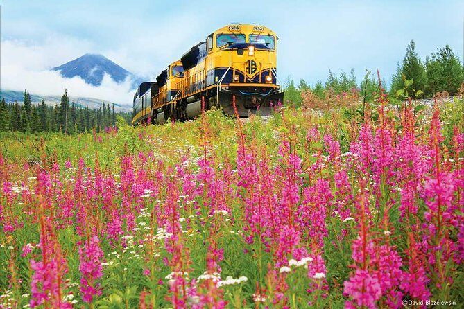 Alaska Railroad Anchorage to Seward Round-Trip Same Day Return - Price and Value: What You’re Paying For on This Train
