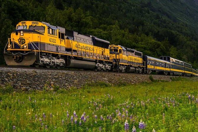 Alaska Railroad Anchorage to Seward Round-Trip Same Day Return - Reserved Seating and Car Choice: Comfort Matters on a Long Day