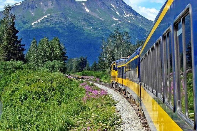 Alaska Railroad Anchorage to Seward Round-Trip Same Day Return - The Return Train: Dinner on Your Schedule, Not the Tour’s