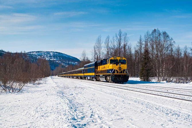 Alaska Railroad Aurora Winter Anchorage to Fairbanks One Way - Key Things That Make This Ride Worth It