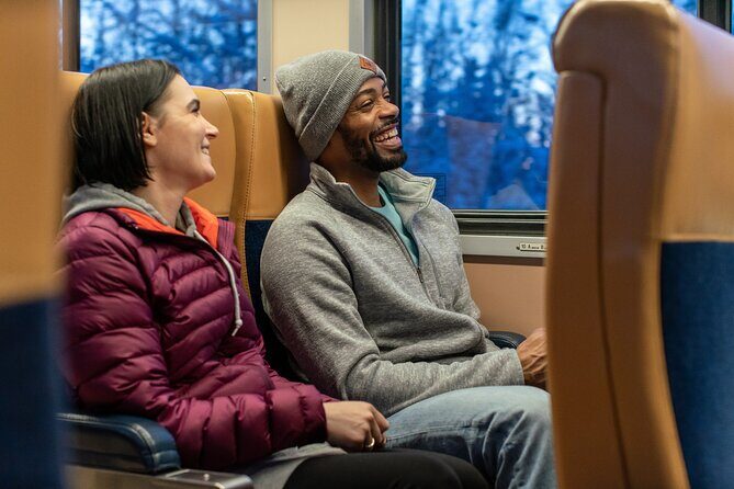 Alaska Railroad Aurora Winter Anchorage to Fairbanks One Way - Dining Car Reality: Snacks, Optional Meals, and Staying Comfortable