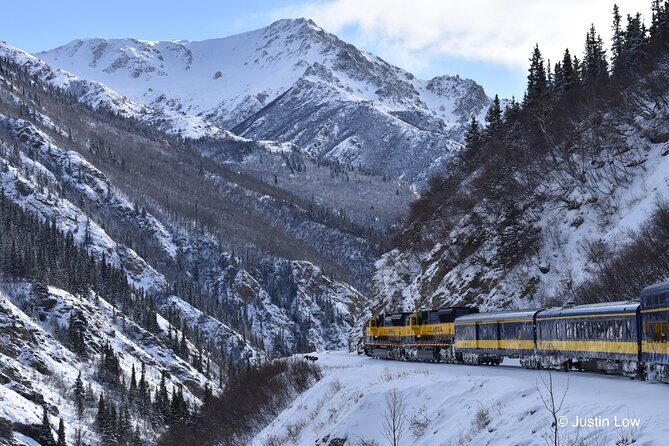 Alaska Railroad Aurora Winter Anchorage to Fairbanks One Way - Wildlife Spotting: What to Watch For and How to Do It Without Stress