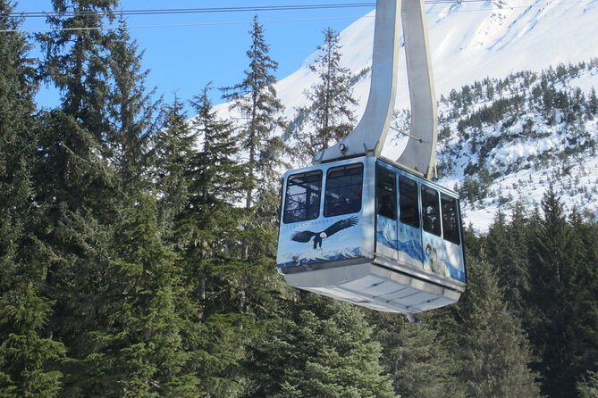 Alaska Wildlife Center and Turnagain Arm Tour w/Alyeska Tram - What you’ll notice at AWCC: conservation facts you can use later