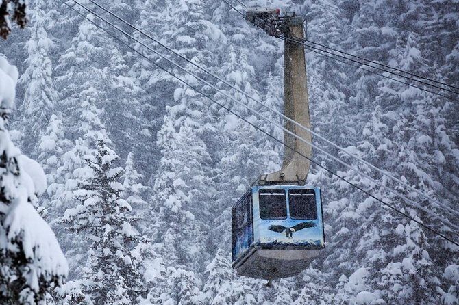 Alaska Wildlife Center and Turnagain Arm Tour w/Alyeska Tram - Price and value: is $109 a smart deal?