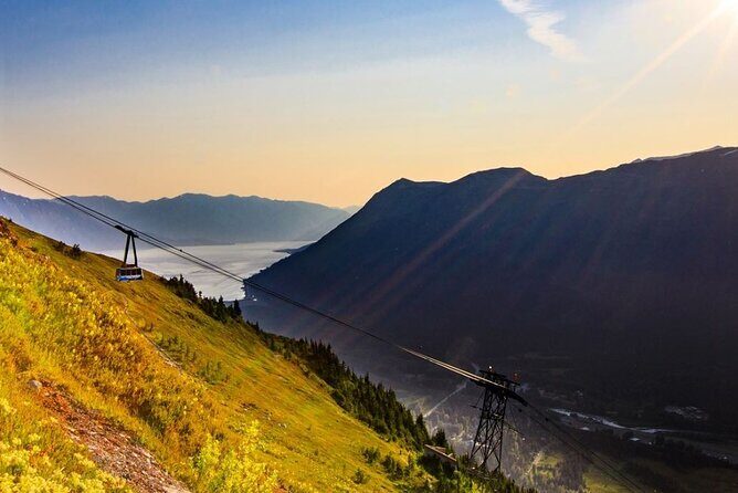 Alaska Wildlife Center and Turnagain Arm Tour w/Alyeska Tram - Alaska Wildlife Conservation Center: the self-paced animal time you’ll actually enjoy