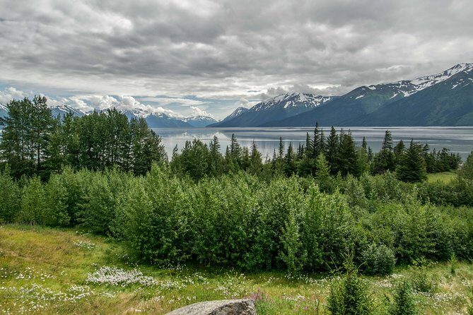 Alaska Wildlife Day Tour with Free Hotel Pickup - Turnagain Arm Drive: Seward Highway Views for Photo Lovers