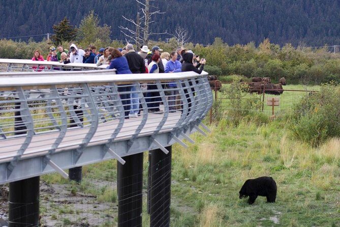 Alaska Wildlife Day Tour with Free Hotel Pickup - What’s Included in the Price (and Why It Feels Fair)