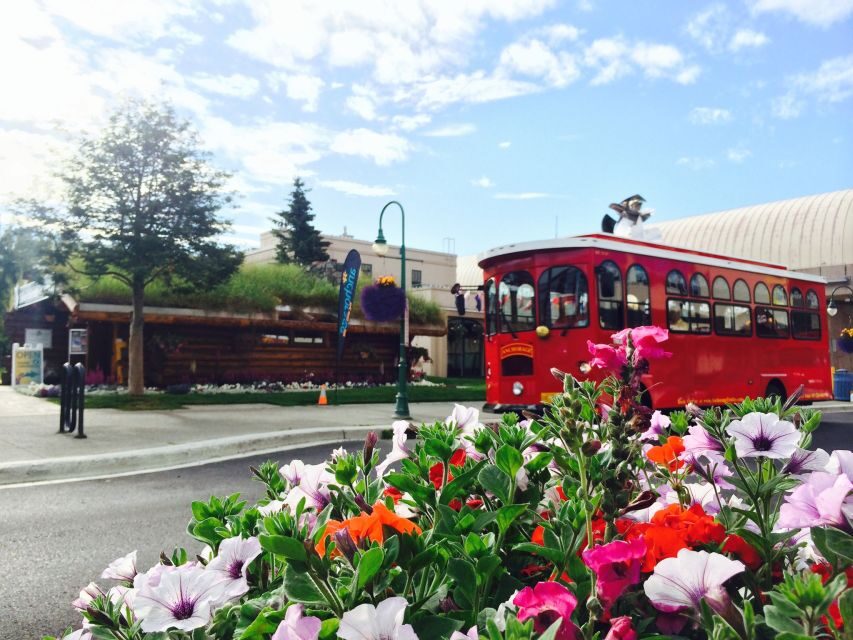 Anchorage: 1-Hour Trolley Tour - Historic Neighborhoods: A Quick Read on How Anchorage Grew