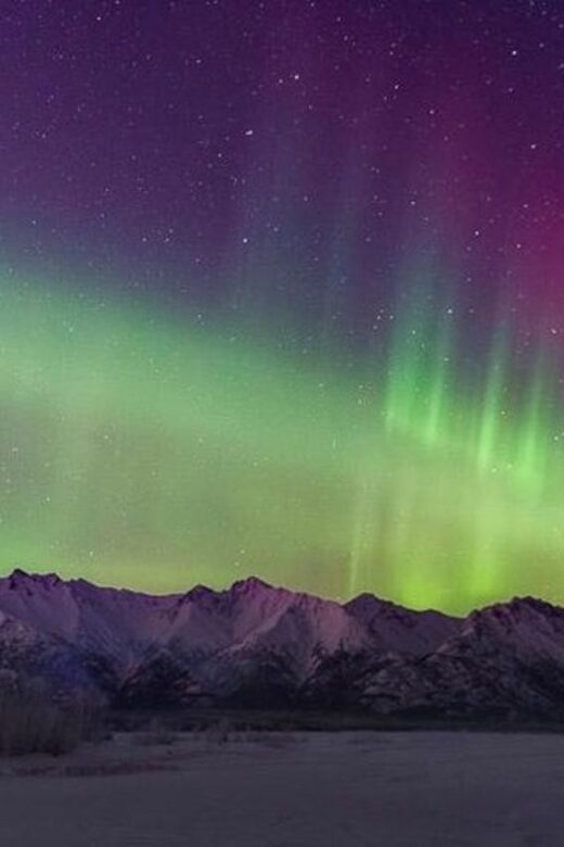 Anchorage: Aurora Borealis Northern Lights Photography Tour - The Viewing Time: Where You’ll Stand and How Long