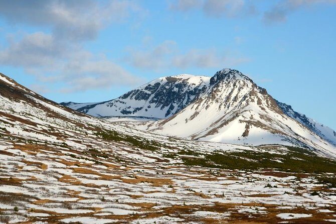 Anchorage Aurora Tour and Northern Lights Photo - Key points before you go