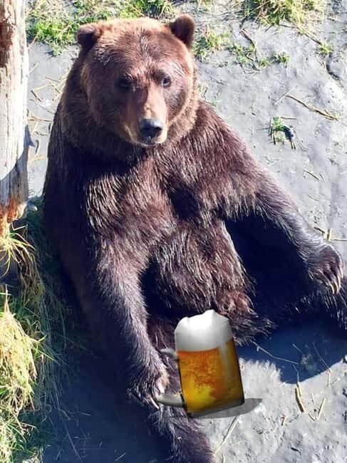 Anchorage: Bears, Beers, and Glacier Tour - The Girdwood stop at Alyeska: beer tasting with a local touch