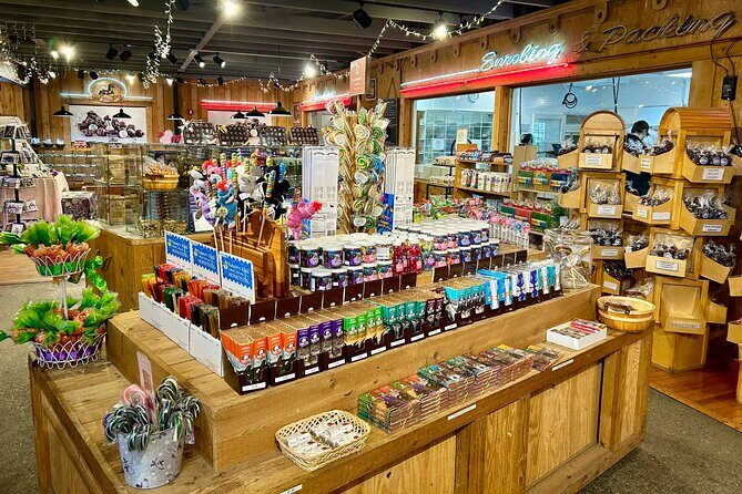 Anchorage City Tour, w/Choc Factory Samplings - Getting Your Anchorage Bearings Fast (and Why That Matters)