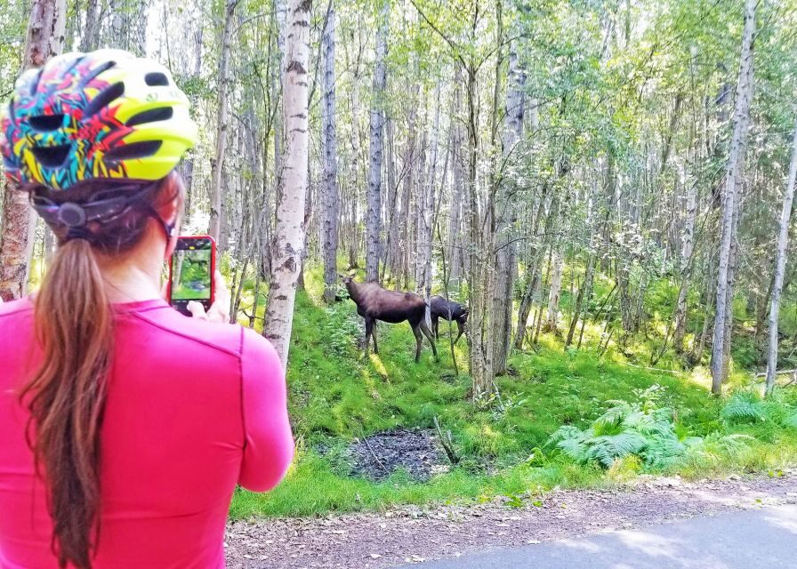 Anchorage: Coastal Trail 3-Hour City Bike Tour - Coastal Trail Views: Five Mountain Ranges, Including Denali
