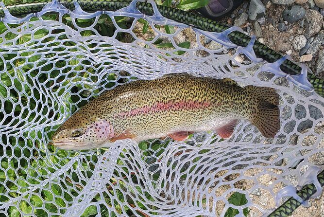 Anchorage Guided Fly-fishing with transportation - Private Transportation That Keeps Your Focus on the River