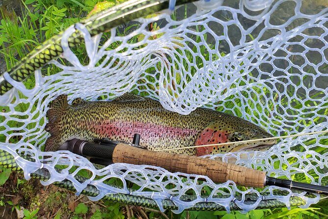 Anchorage Guided Fly-fishing with transportation - What You’re Fishing For: Trout, Grayling, and Dolly Varden