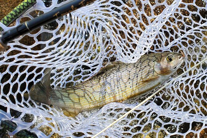 Anchorage Guided Fly-fishing with transportation - Alaska Fishing License: The One Extra Cost You Should Budget