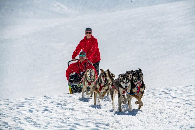 Anchorage Helicopter Glacier Dogsledding Tour - Alpine Air Alaska flight: short airtime, big Alaska payoff (and weather can test your patience)