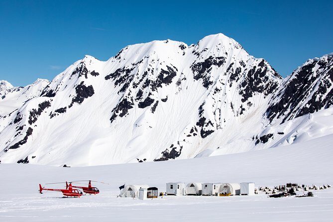 Anchorage Helicopter Glacier Dogsledding Tour - On the sled: what you’ll do, how it feels, and where to be careful