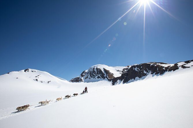 Anchorage Helicopter Glacier Dogsledding Tour - Value check: is $769 worth it for this helicopter + sled combo?