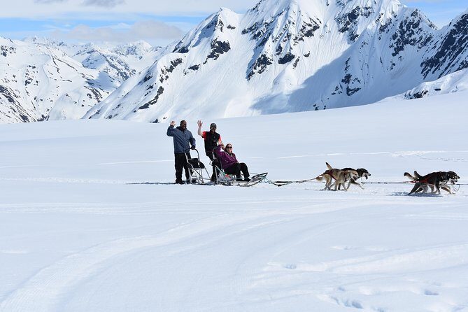 Anchorage Helicopter Glacier Dogsledding Tour - Should you book this Anchorage glacier dog sled tour?