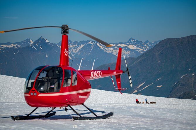 Anchorage Helicopter Glacier Dogsledding Tour - Punchbowl Glacier camp: Seavey-family mushing, plus real time with the dogs