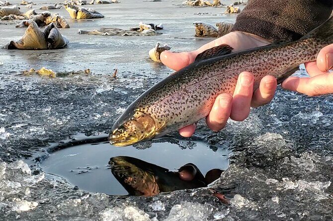 Anchorage Ice Fishing Adventure with transportation - Key Things That Make This Ice Fishing Trip Worth It