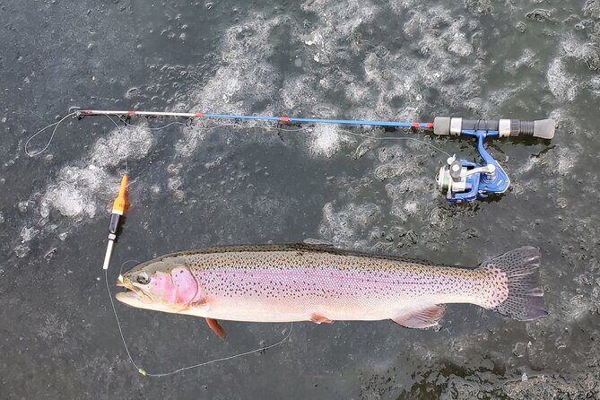 Anchorage Ice Fishing Adventure with transportation - Inside the Heated Tent: Warmth, Light, and the Setup Moment
