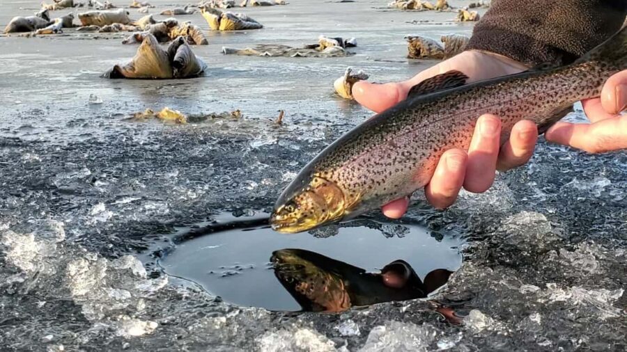 Anchorage: Ice Fishing Trip With Transportation - Key highlights worth planning around