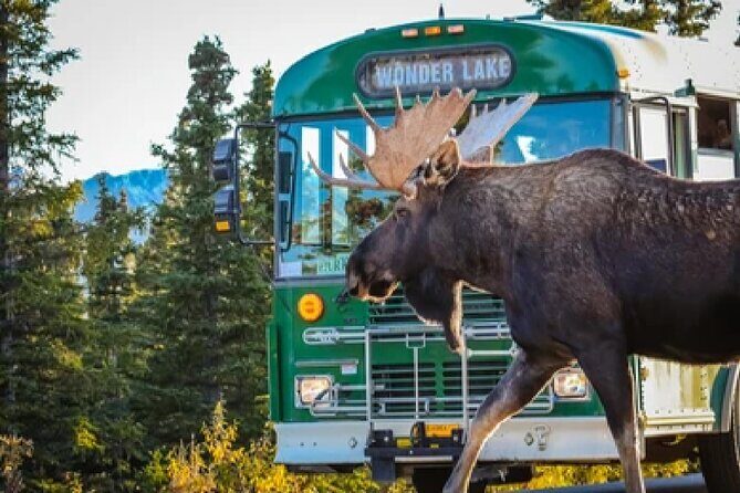 Anchorage: Kenai Fjords & Denali National Park 5 Day 4 Night Tour - What your guide actually adds (beyond facts on a page)