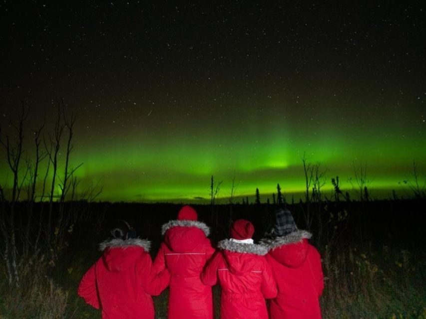 Anchorage: Nighttime Northern Lights Tour - Key Things I’d Focus On