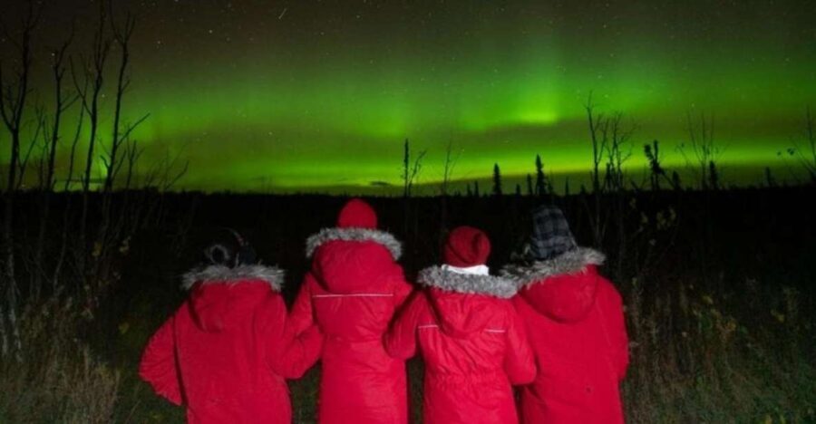 Anchorage: Nighttime Northern Lights Tour - Entering The Night In Anchorage: Pickup That Gets You Ready