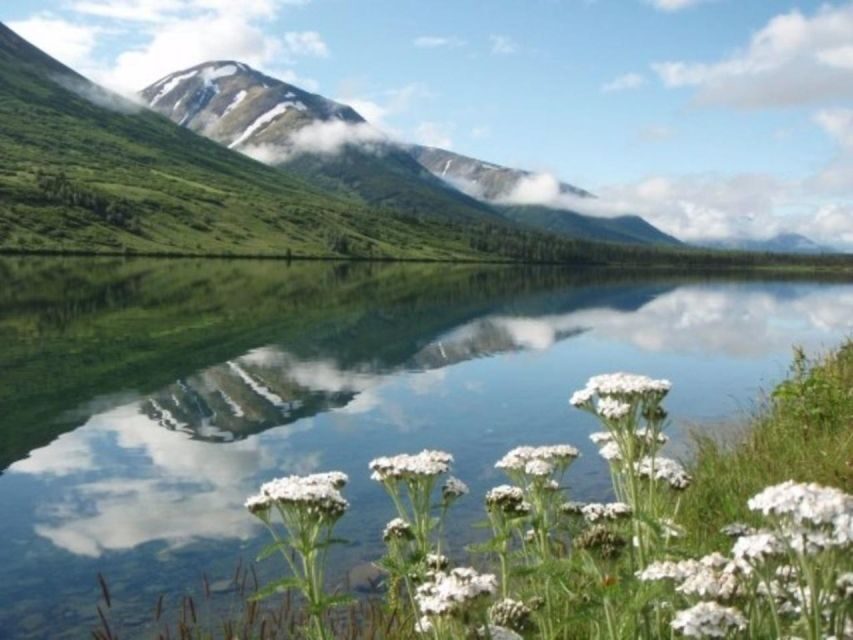Anchorage: Nighttime Northern Lights Tour - Photography Coaching and Web-Quality Portraits