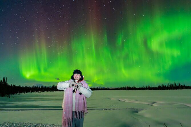Anchorage Northern Lights Tour - The winter shelter stop: comfort plus better sky-view time