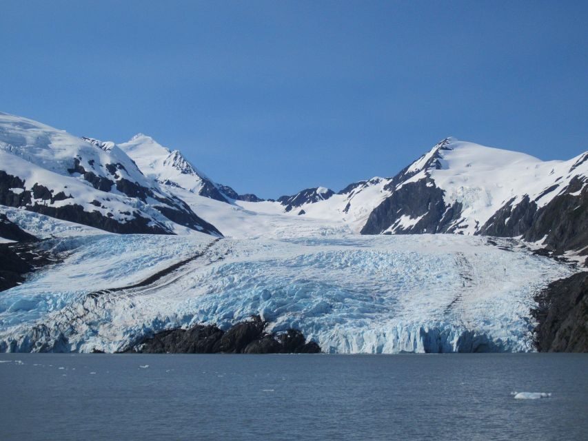 Anchorage: Portage Glacier and Wildlife Explorer Cruise - Price and value: is $239 per person fair?