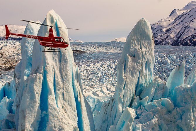 Anchorage Prince William Sound Heli Tour with Glacier Landing - Wildlife Chances: How to Think About Sightings