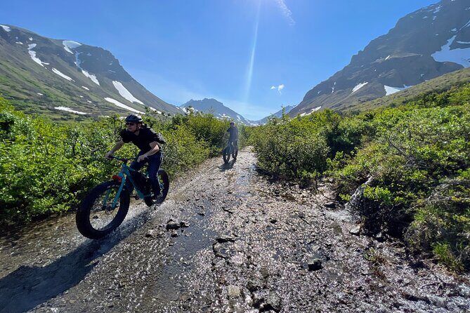 Anchorage Scenic Mountain Bike Tour - Wildlife spotting without losing the ride