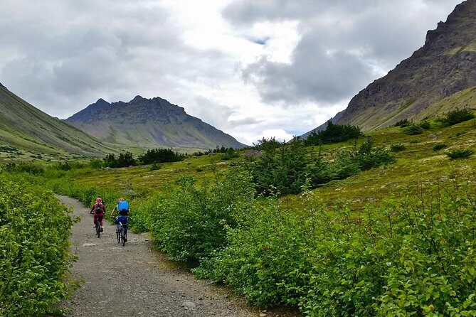 Anchorage Scenic Mountain Bike Tour - Fitness level and bike comfort: what moderate really means here