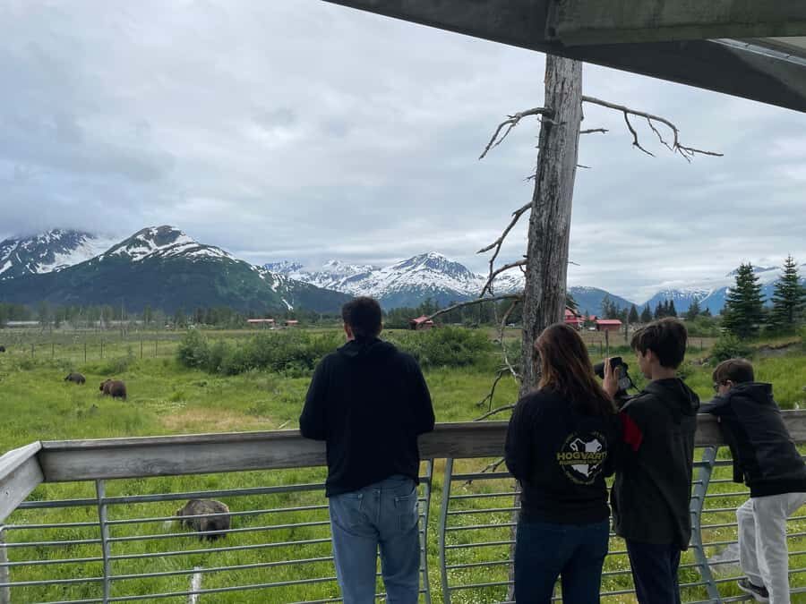 Anchorage: Scenic Tour to Wildlife Center with hotel pickup - Rules of the road and Center etiquette (read this before you go)